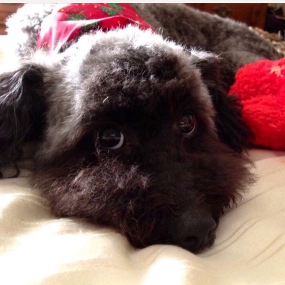 GAME FULL! - Picture 8 of 8